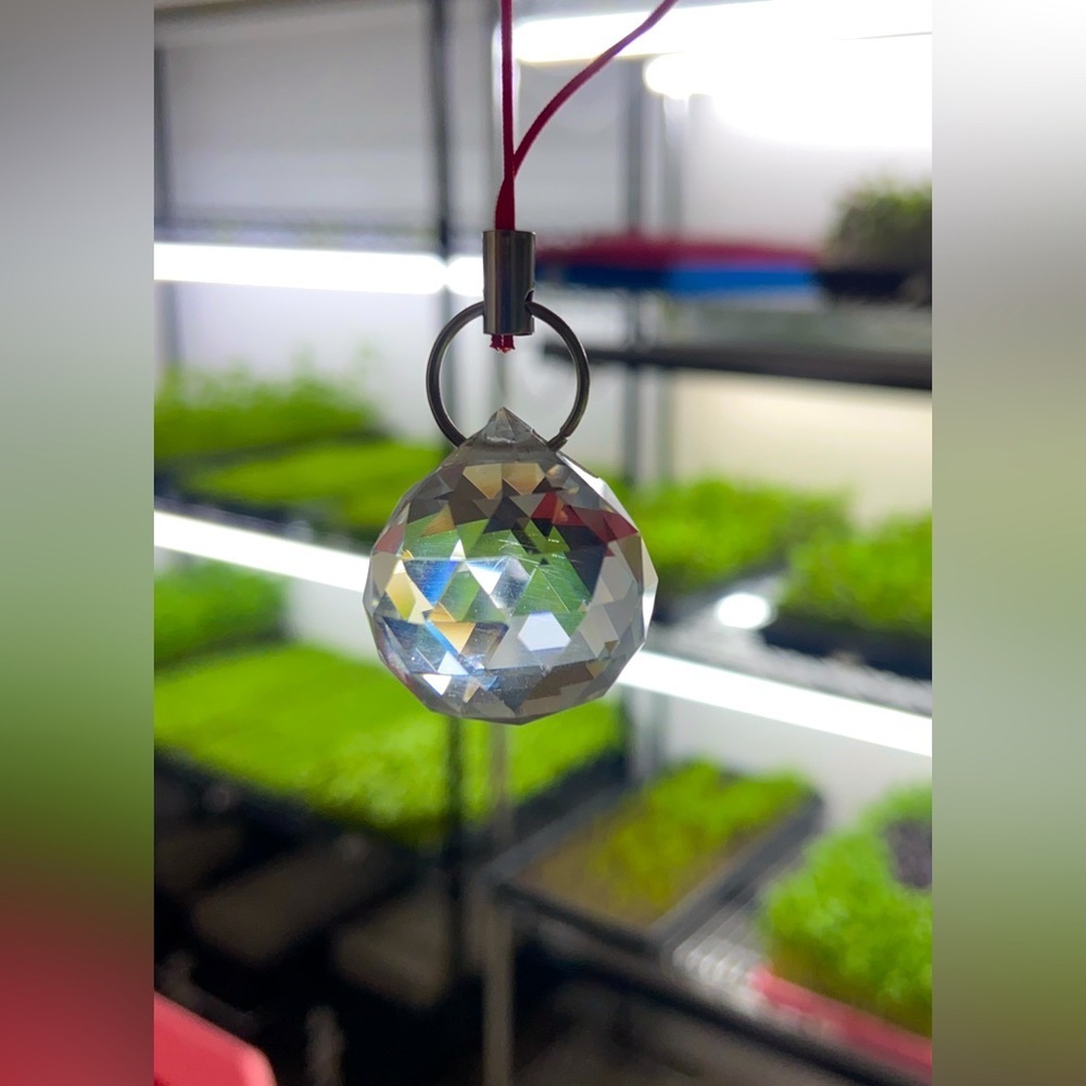 Glass Ball Prisms Suncatcher/Rainbows!